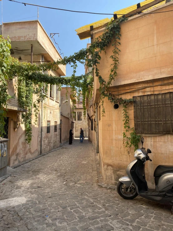 a scooter is parked next to an alleyway with vines on the side