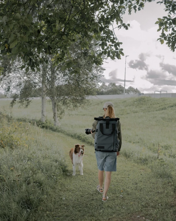 a person walking through a field with a dog