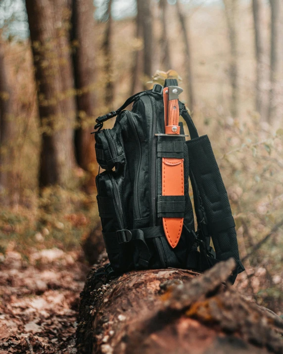 a black and orange back pack is on a tree stump