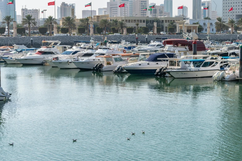 many white boats in a body of water near a city