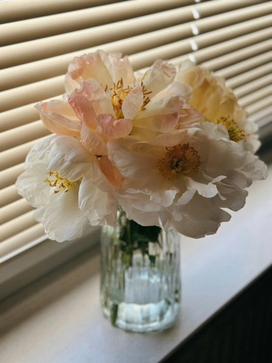 a close up view of flowers in a vase on a window sill