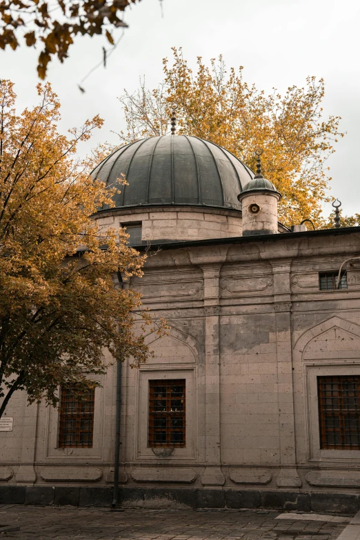 a building is next to some trees and a tree with its leaves turning