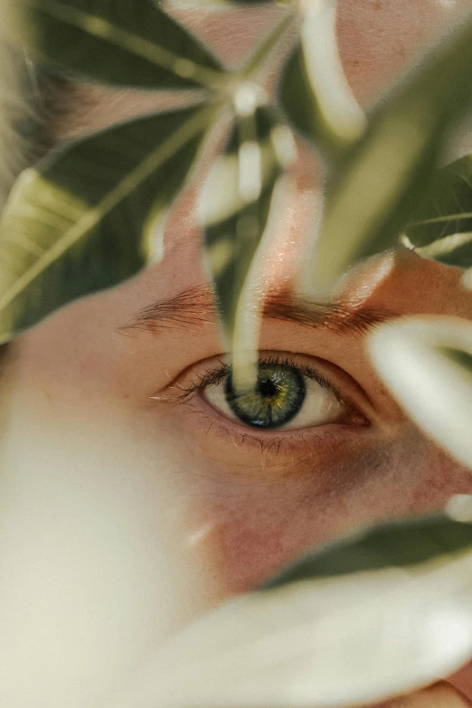 a close up of an eye through leaves