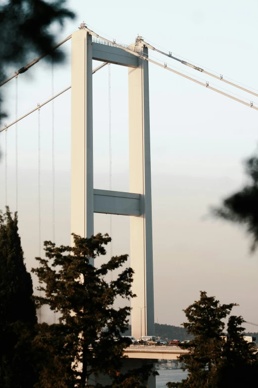 a long white bridge spanning over some trees