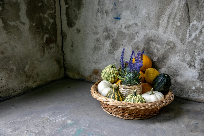 a basket of fruit is placed in front of a concrete wall