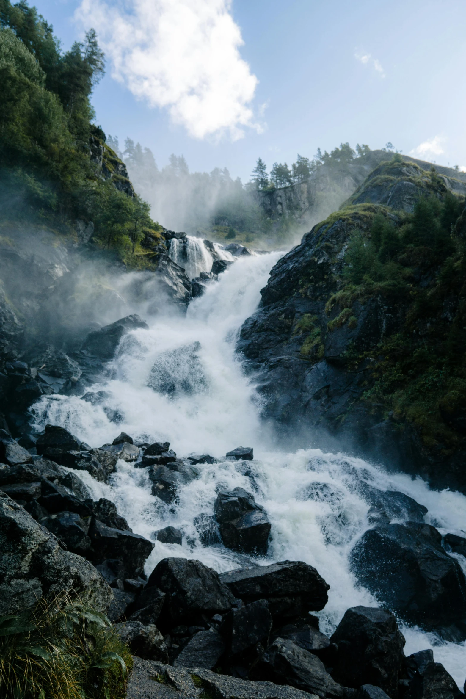 a river running through rocks and a forest