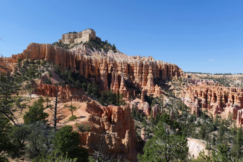 large canyon surrounded by massive rocks and trees