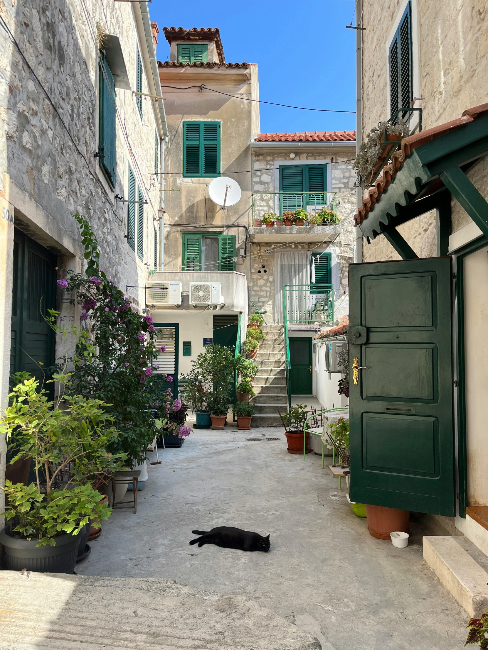 an alleyway with a door and a cat lying down