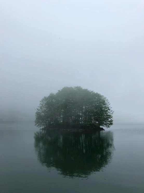 the island is surrounded by the foggy water