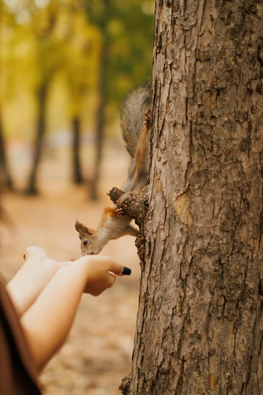 the animal is clinging to the woman's hand