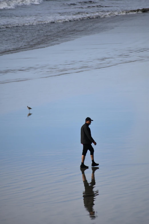 a man is walking in the water near a bird