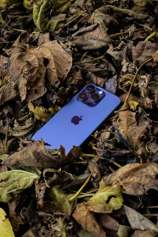 the iphone case is sitting in the leaves