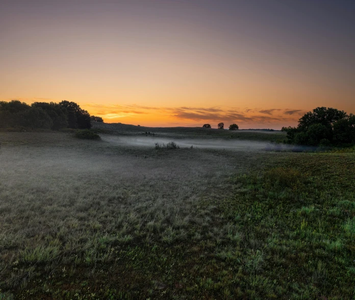 the sun rises over a grassy field with a horse