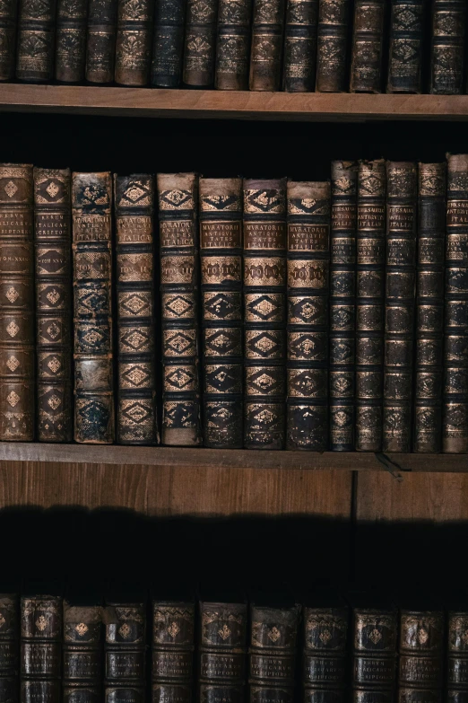 the front row of old books are lined up