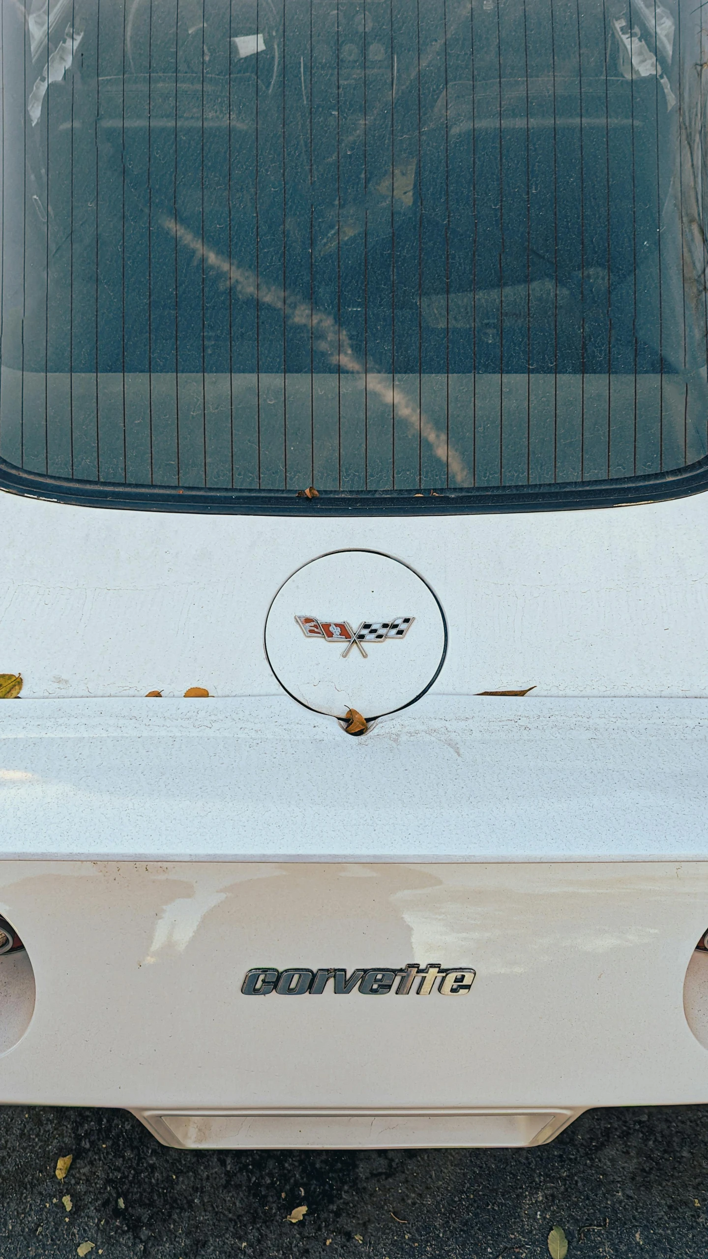 a close up of the hood and emblem on a classic mustang