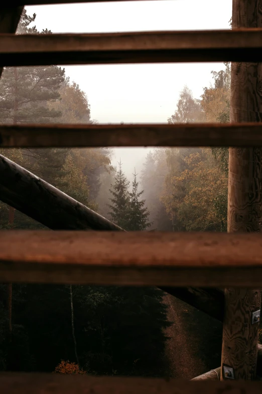 the back end of a wooden bench overlooking a forest with trees