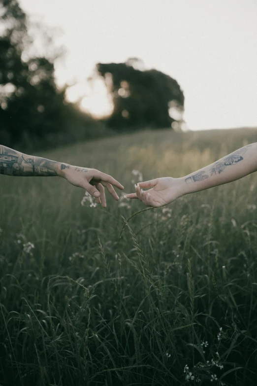 two hands touching each other while in the grass