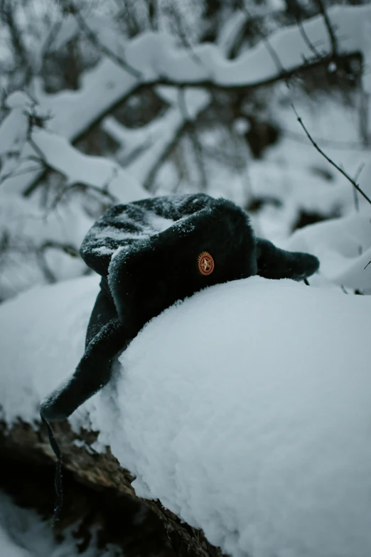 a stuffed animal is laying on top of the snow