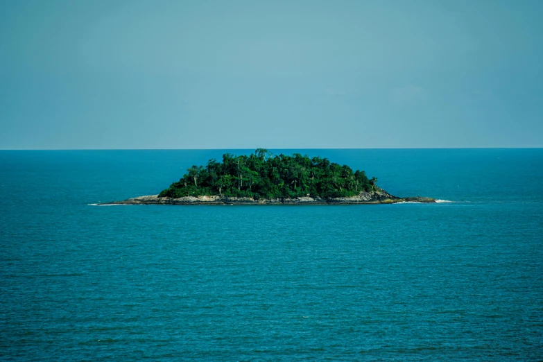 a small island with trees sits on an open body of water