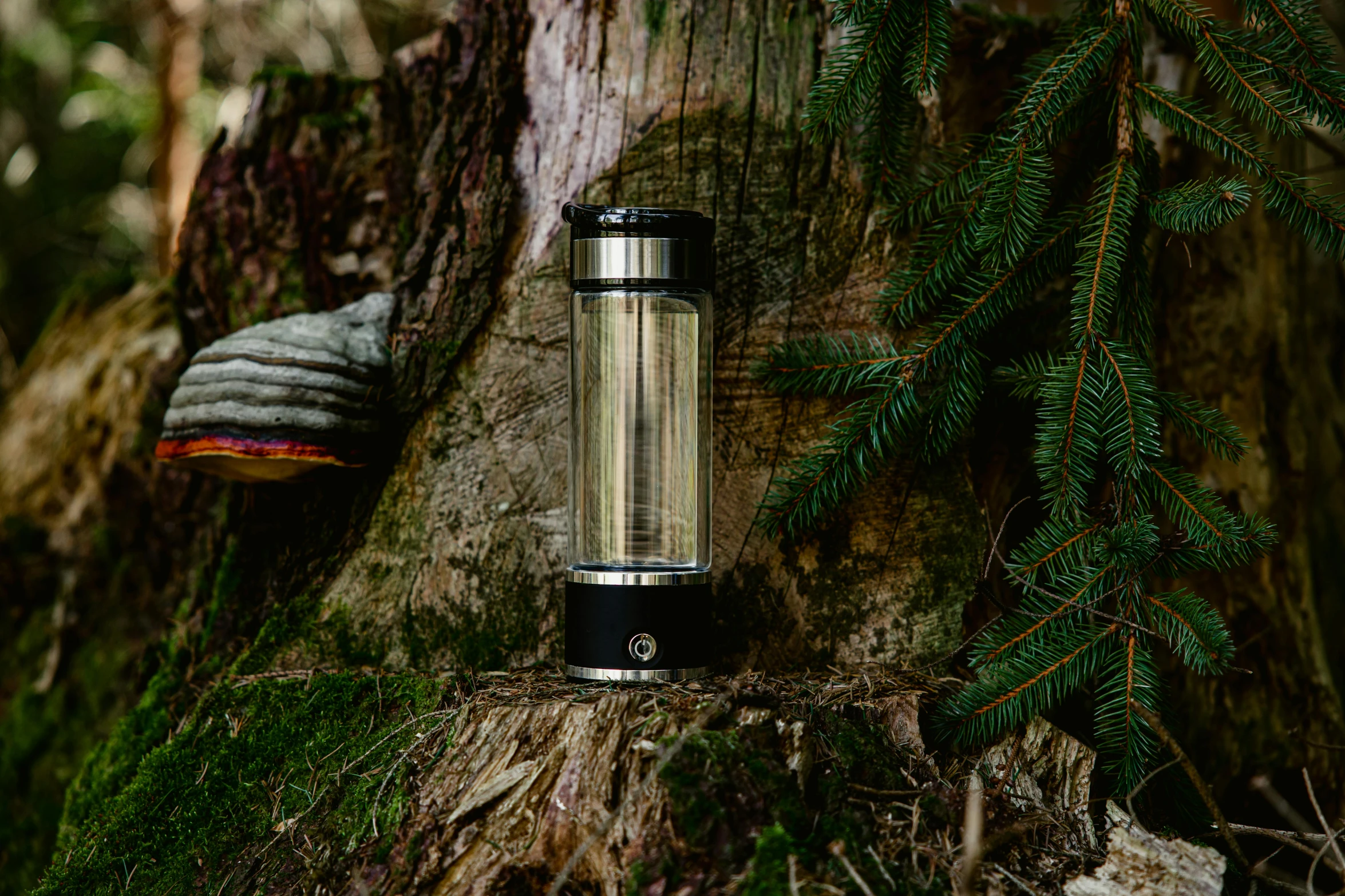 a device sitting next to a tree in the forest