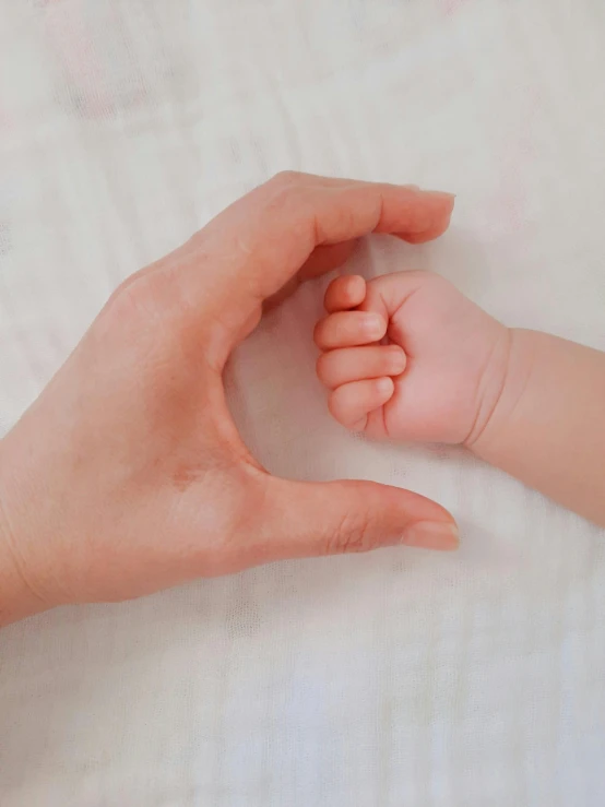 a baby is shown in the middle of its mother's hand