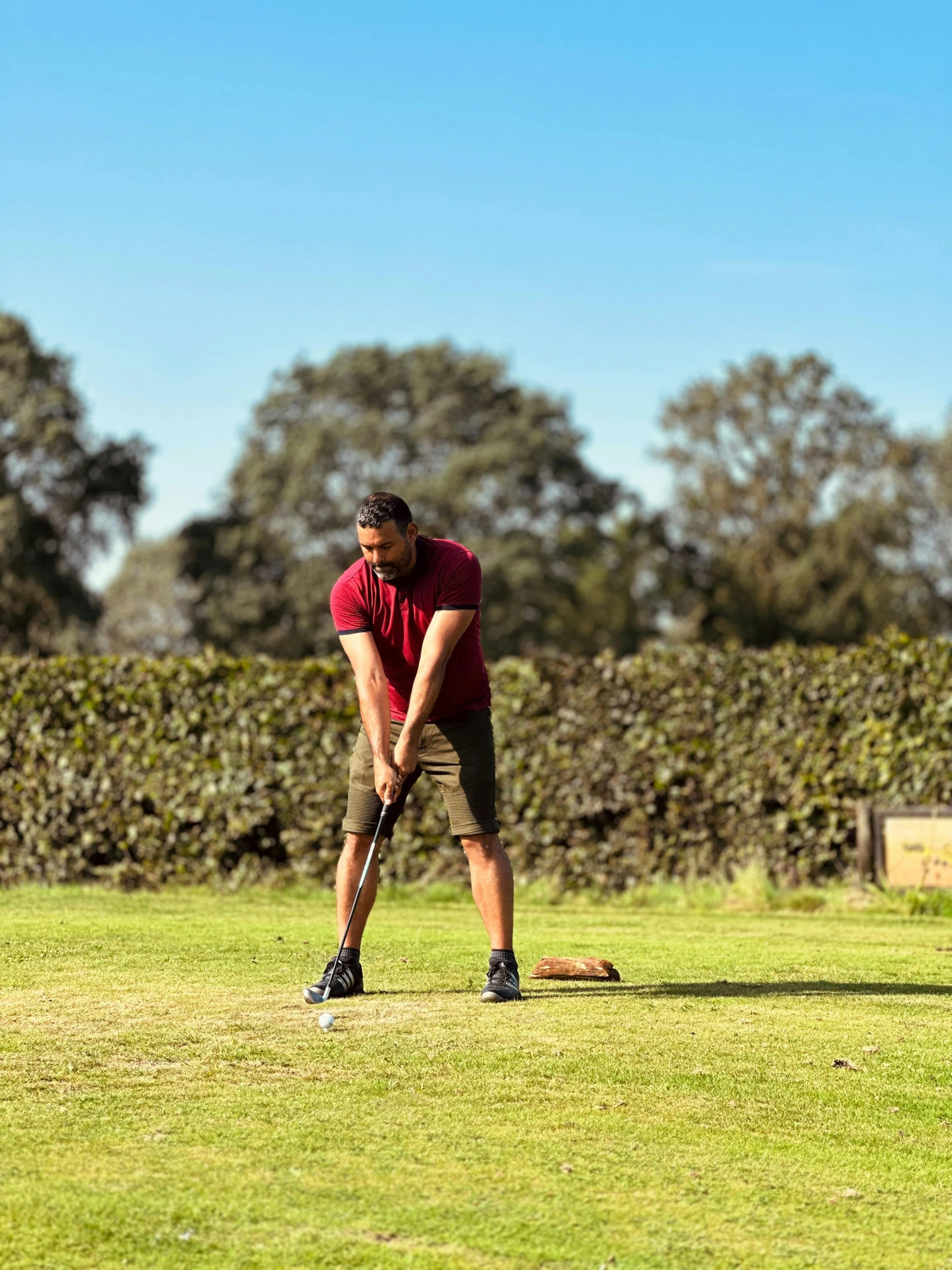 man wearing purple shirt holding golf club in grass field