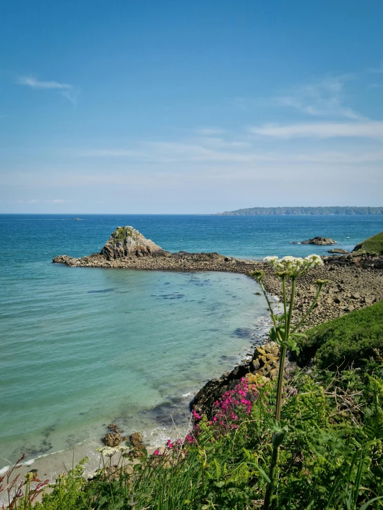 a blue water body with flowers near the shoreline