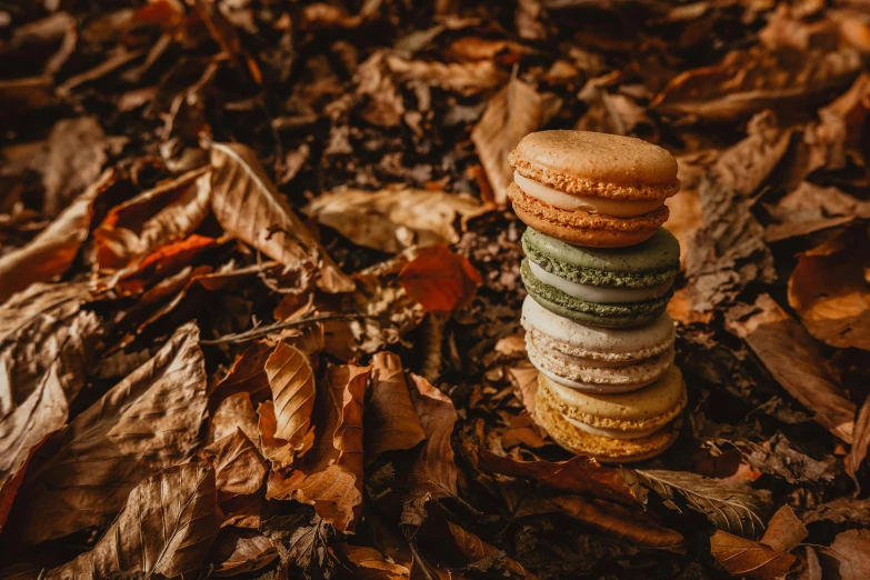 a stack of multi colored cookies on leaves