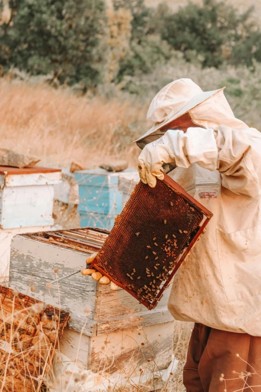 a person in bee clothes with bees on hive boxes