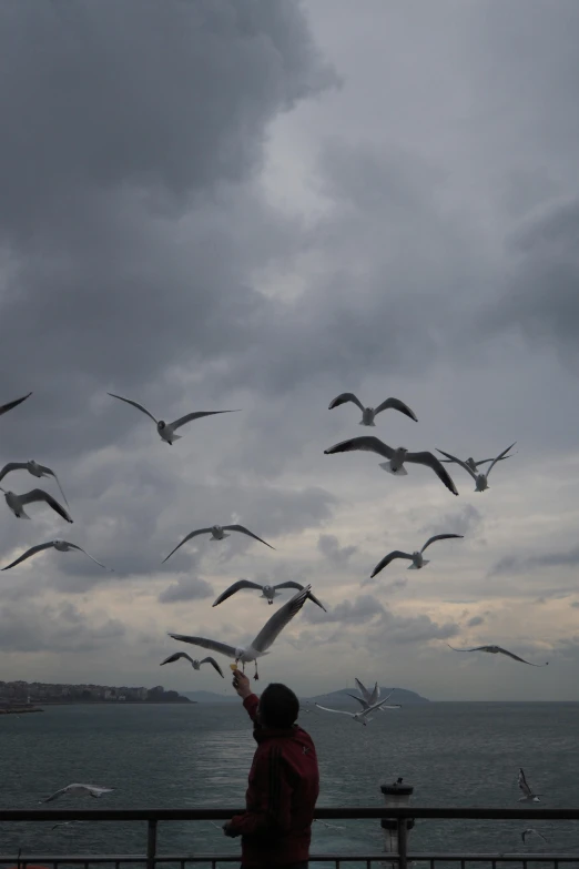 a man that is flying some birds near the water