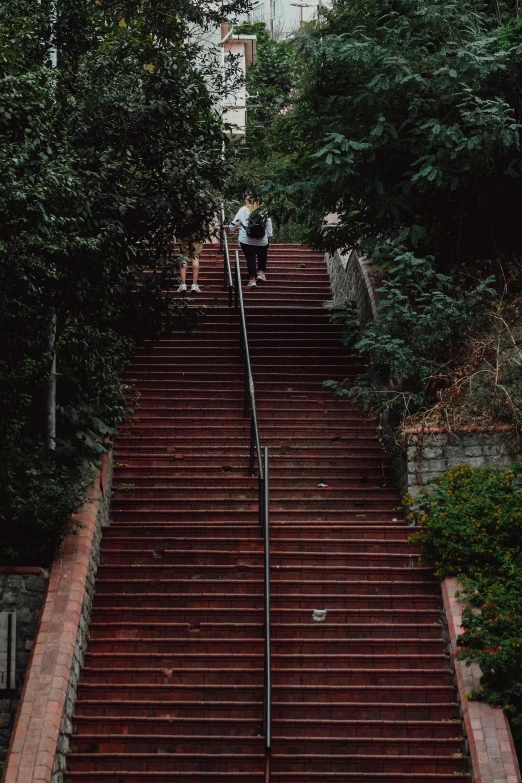 people climbing stairs that lead to the top of the mountain