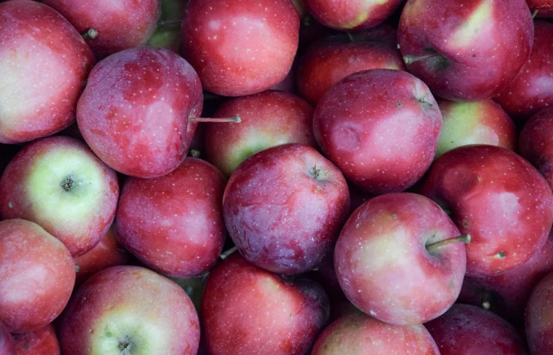 a pile of red apples sitting in a bunch next to each other