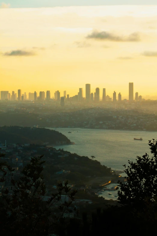 city skyline overlooking the bay at dusk from a hillside