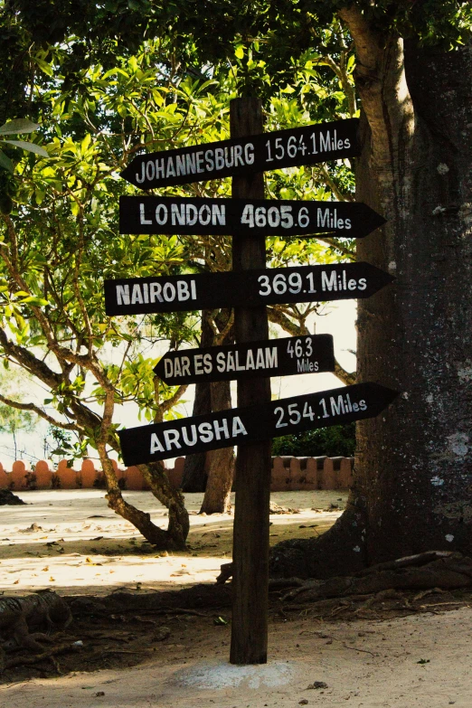 an assortment of street signs mounted on a tree