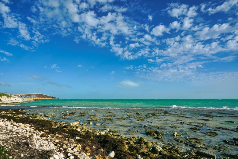 a beach covered in rock and mussel under blue skies