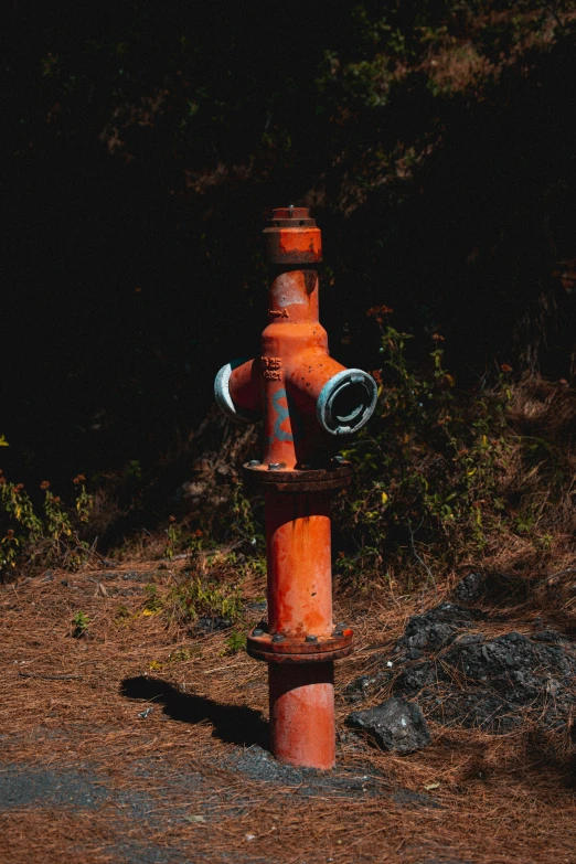 a red fire hydrant that is on the side of a dirt road