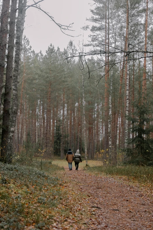 two people riding horses in the woods surrounded by trees