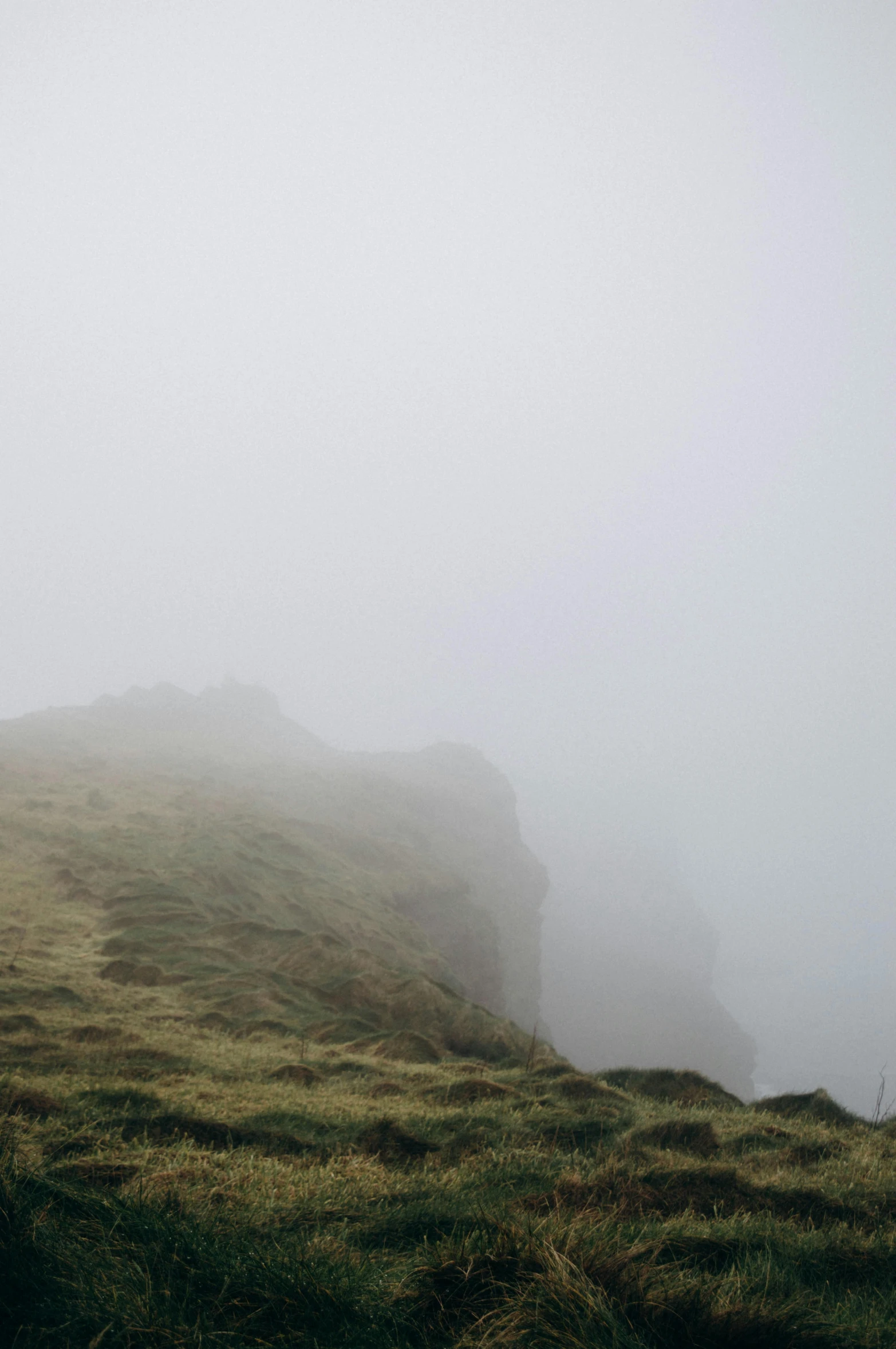 two sheep grazing in the middle of foggy day