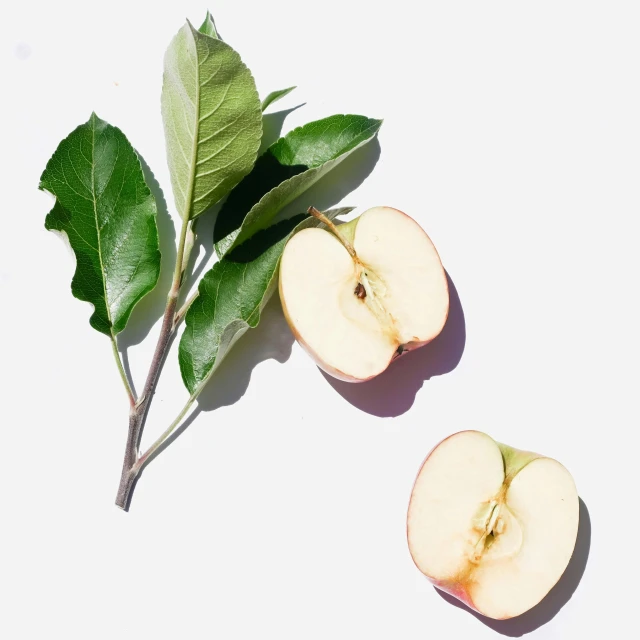 two apple halves cut in half and sitting next to the green leaves