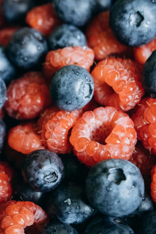 blueberries, oranges and strawberries sit in a bowl