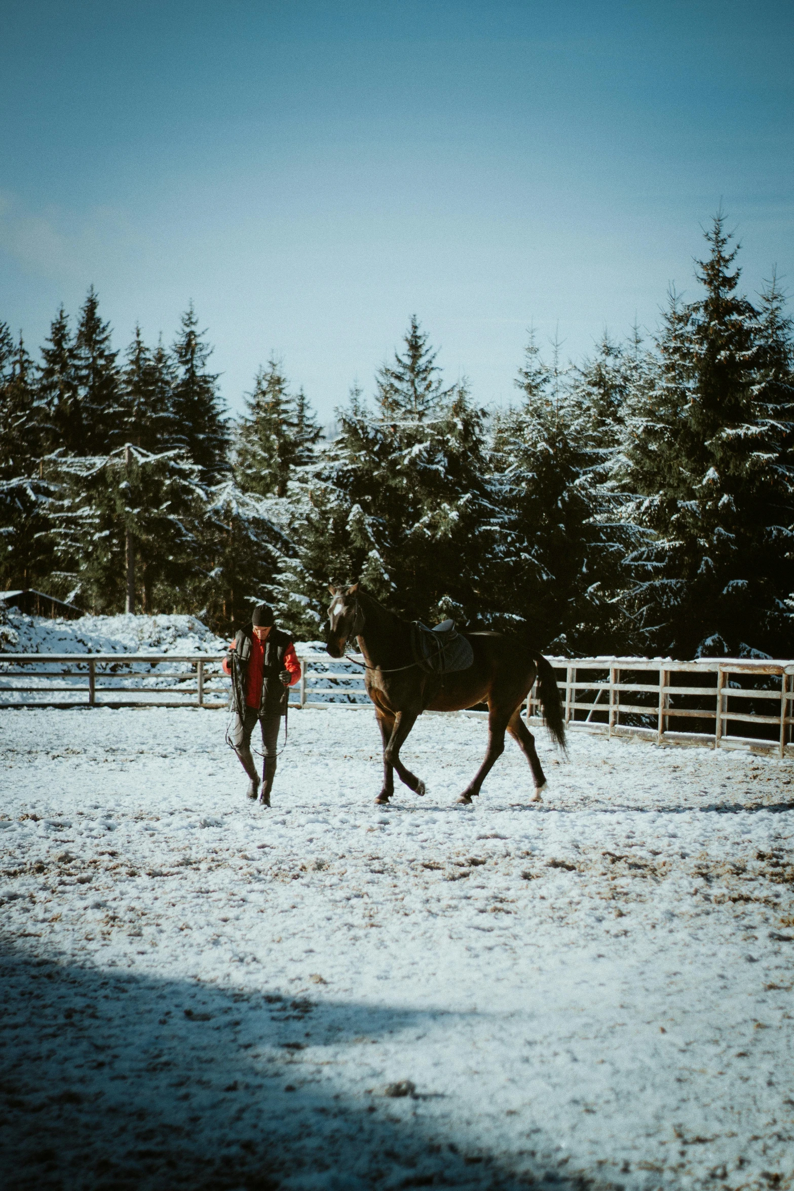 people are walking along a fenced in field with a horse