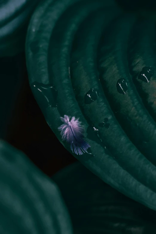 close up of green pipes with a flower sitting on them