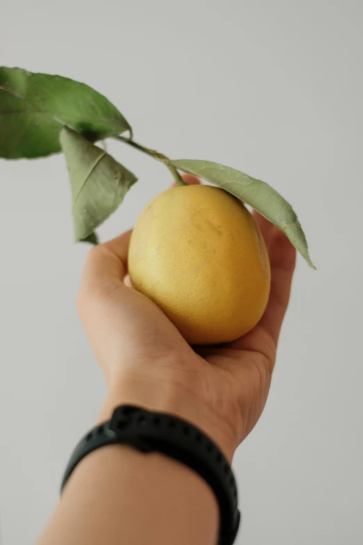 a person holding a yellow apple with green leaves on it