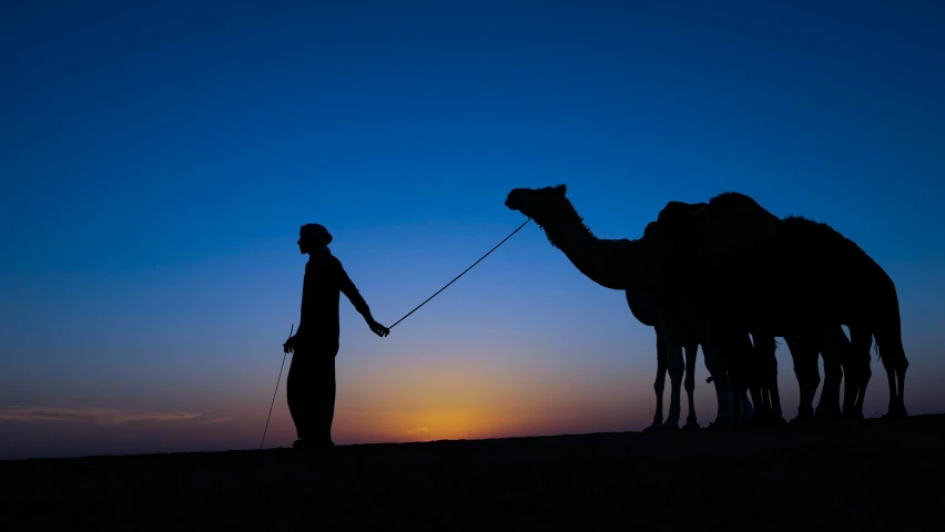 the silhouette of three camels and a man on a blue sunset