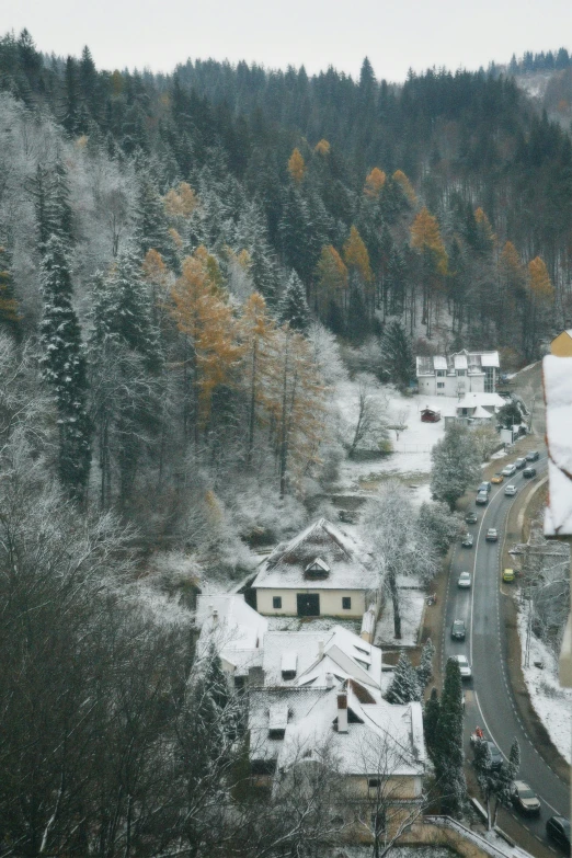 the snow is falling on the trees and homes