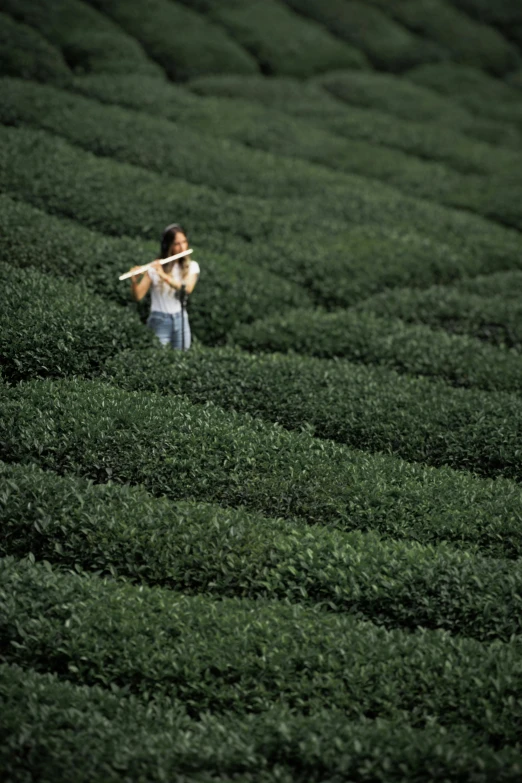 the man is walking in the large field with a bamboo stick