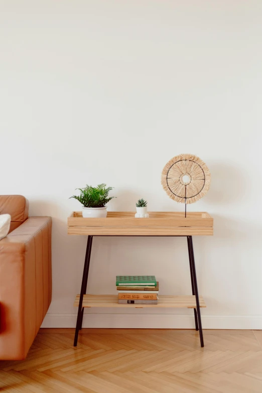 a table with two plants on top and an object beside it