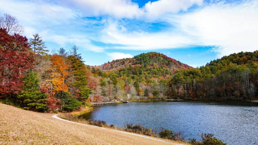 a body of water surrounded by some trees