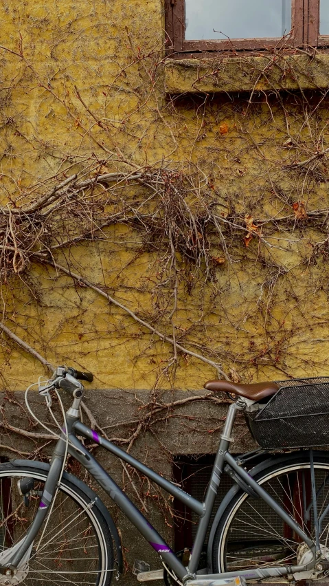 there is a bicycle next to a building