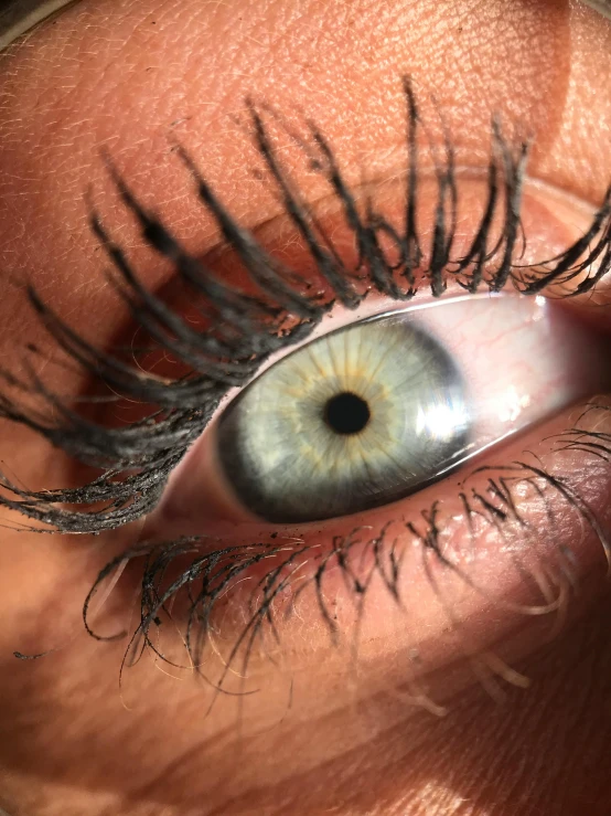 closeup of the human eye showing a lot of detail